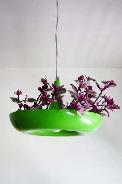 Dupe Planter Pendant Lamp