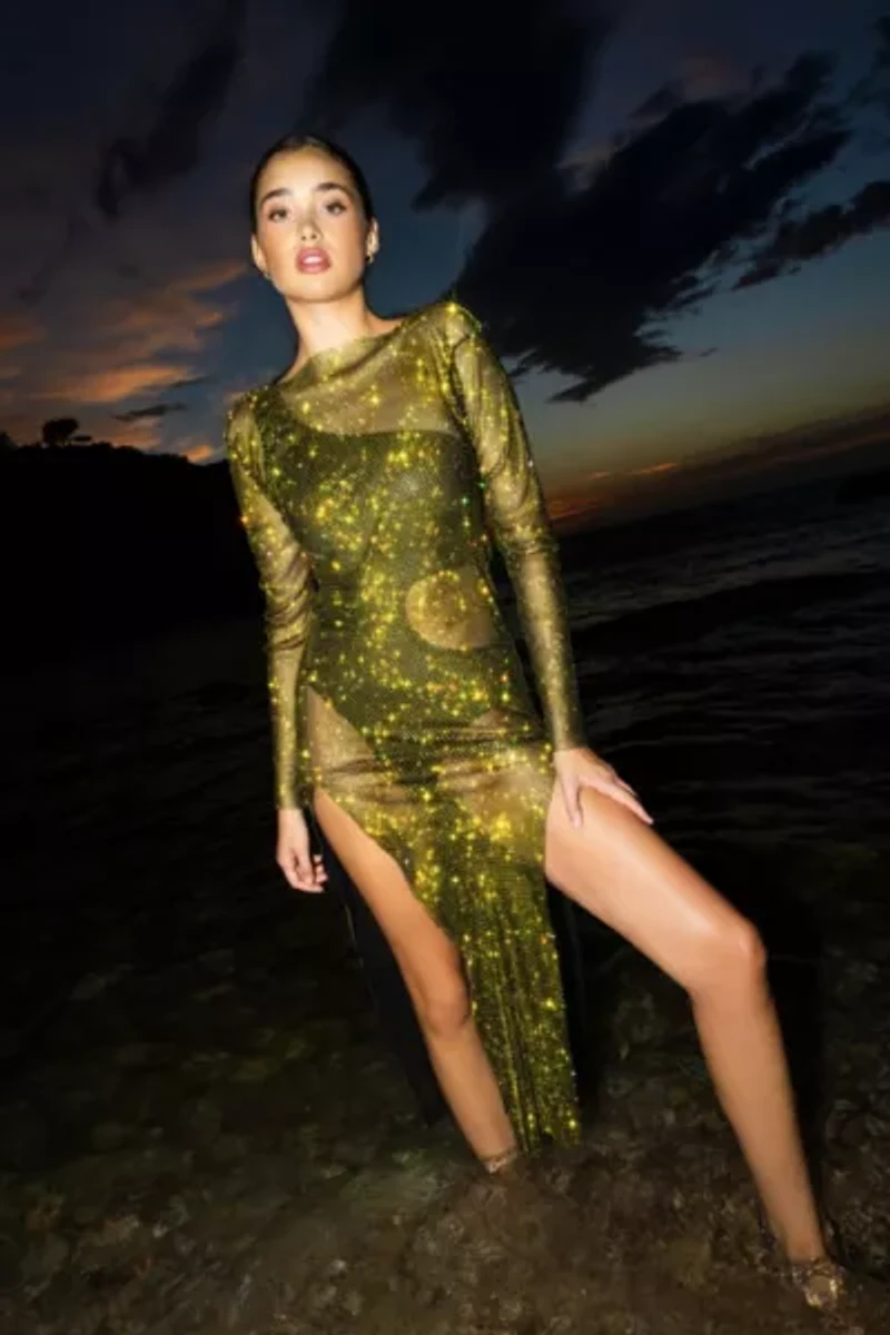 Amy Lynn Metallic Mesh Maxi Dress