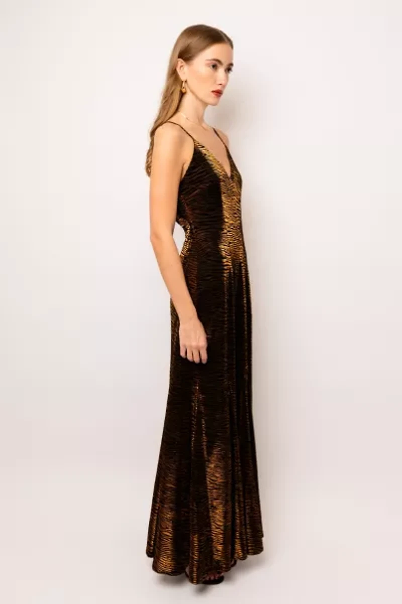 Amy Lynn Tiger Velvet Maxi Dress