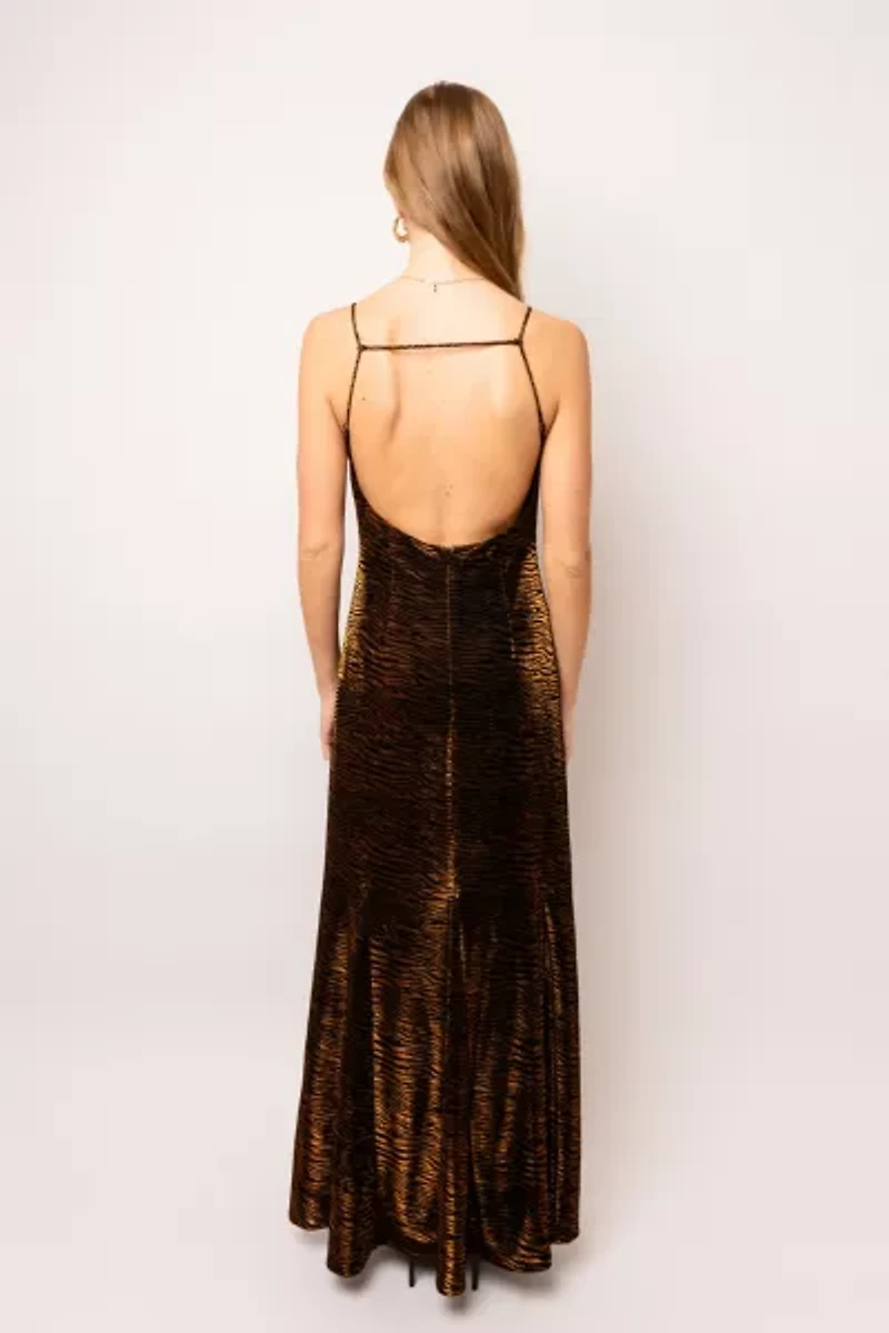 Amy Lynn Tiger Velvet Maxi Dress
