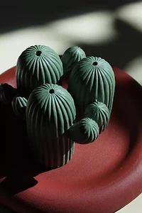 Acquired Taste Charming Cactus Incense Holder + Coaster