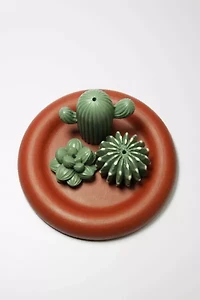 Acquired Taste Plant Lover Bundle Incense Holder Set