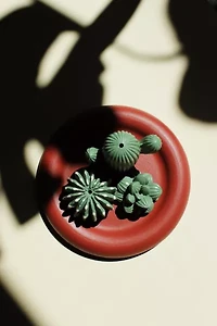 Acquired Taste Plant Lover Bundle Incense Holder Set