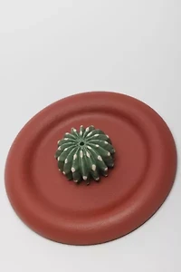 Acquired Taste Domino Cactus Incense Holder + Coaster