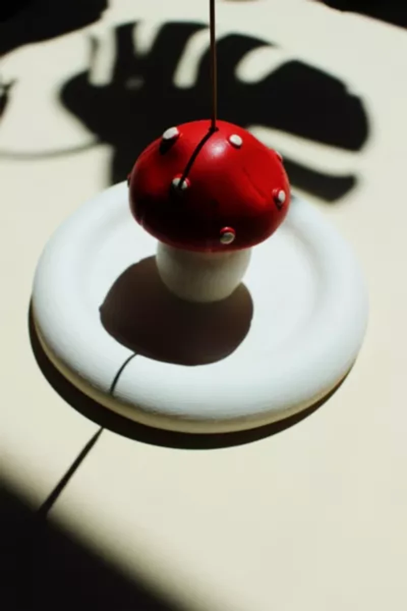 Acquired Taste Shroom into the Groove Incense Holder + Coaster