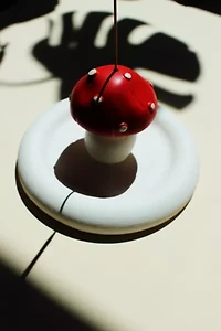 Acquired Taste Shroom into the Groove Incense Holder + Coaster