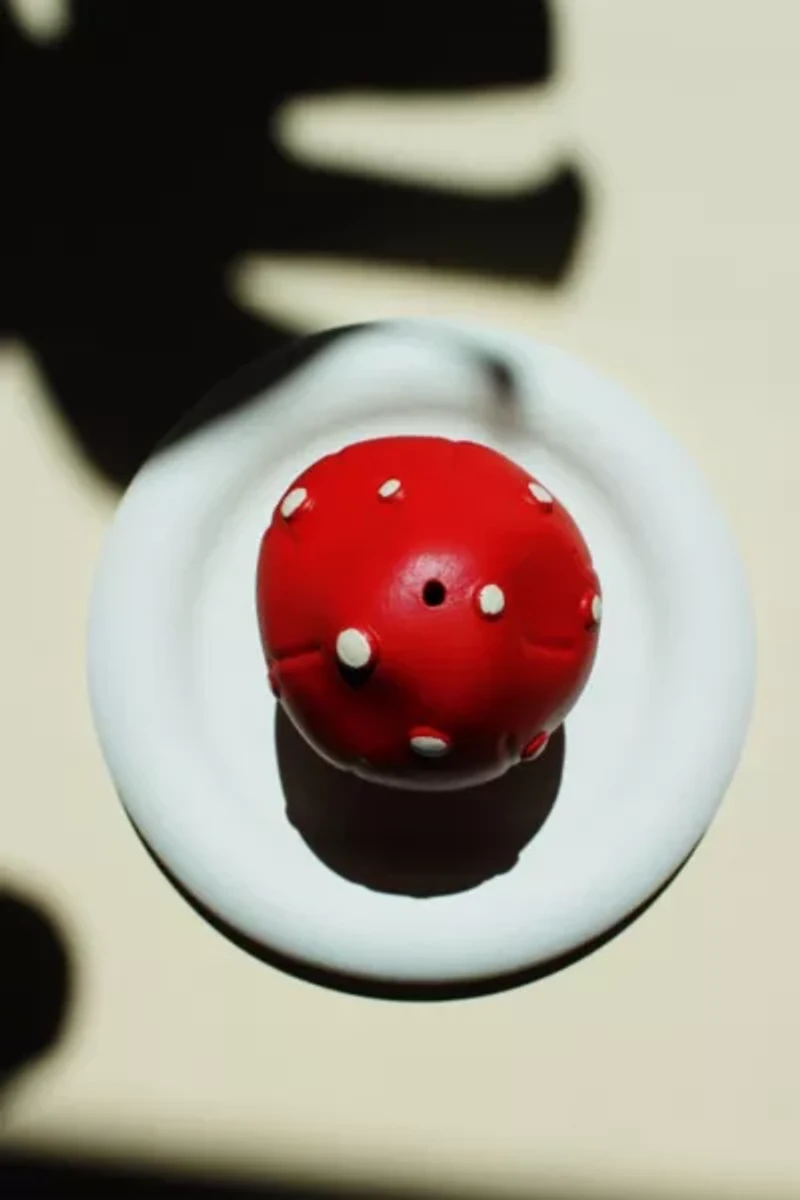 Acquired Taste Shroom into the Groove Incense Holder + Coaster