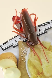 Roach Shaped Bag Clip Set