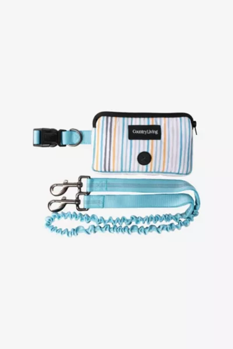 Silver Paw Hands-Free Dog Leash