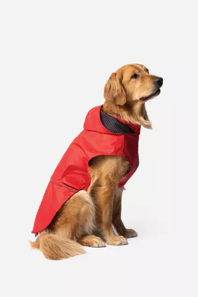 Silver Paw Aden 2.0 Pet Raincoat