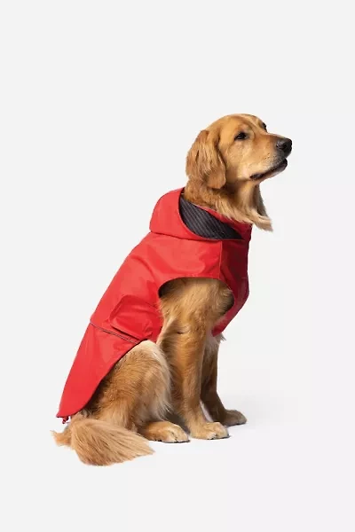 Silver Paw Aden 2.0 Pet Raincoat