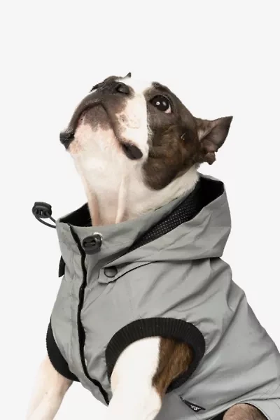 Silver Paw Max Reflective Pet Raincoat