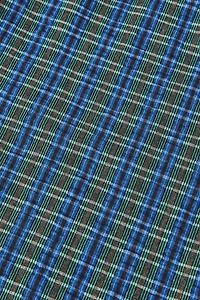 Gramicci OG Seersucker G-Shorts
