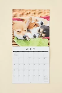 Dog Nap 2026 Wall Calendar