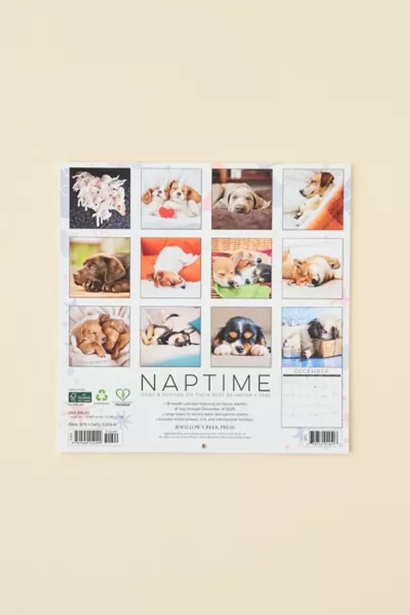 Dog Nap 2026 Wall Calendar