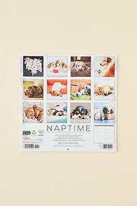 Dog Nap 2026 Wall Calendar