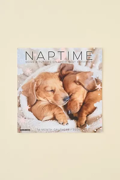 Dog Nap 2026 Wall Calendar