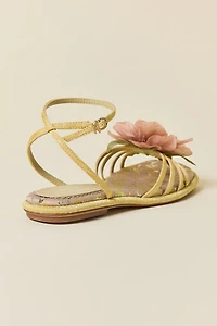 Circus NY By Sam Edelman Olana Flower Sandal