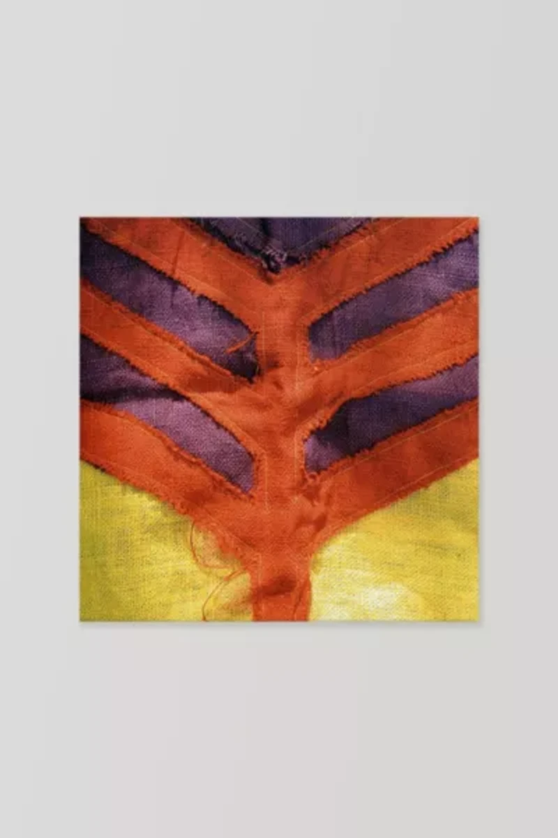 Yeah Yeah Yeahs - Show Your Bones LP