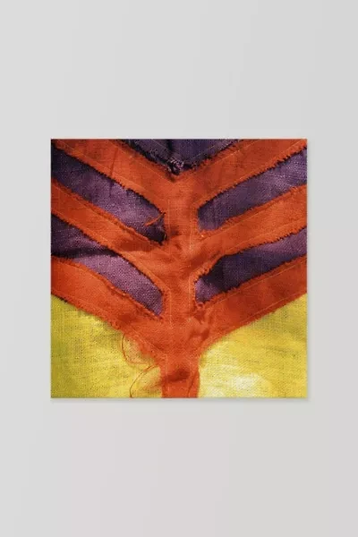 Yeah Yeah Yeahs - Show Your Bones  LP