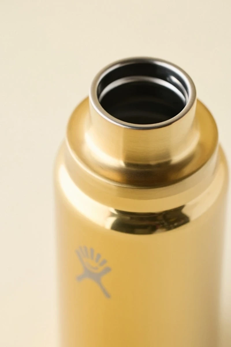 Hydro Flask Micro Metallic Mini Water Bottle
