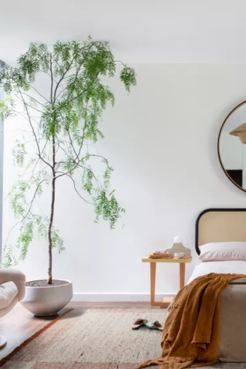 Revival Halo Flatweave Wool Rug