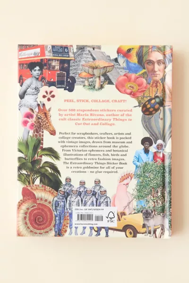 Extraordinary Things Sticker Book By Maria Rivans