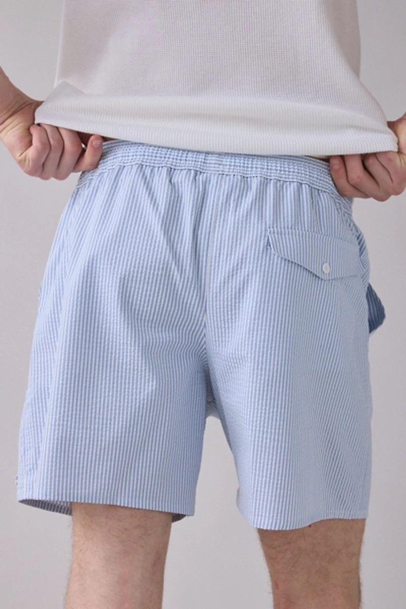 Lacoste Stripe Pattern Swim Trunks