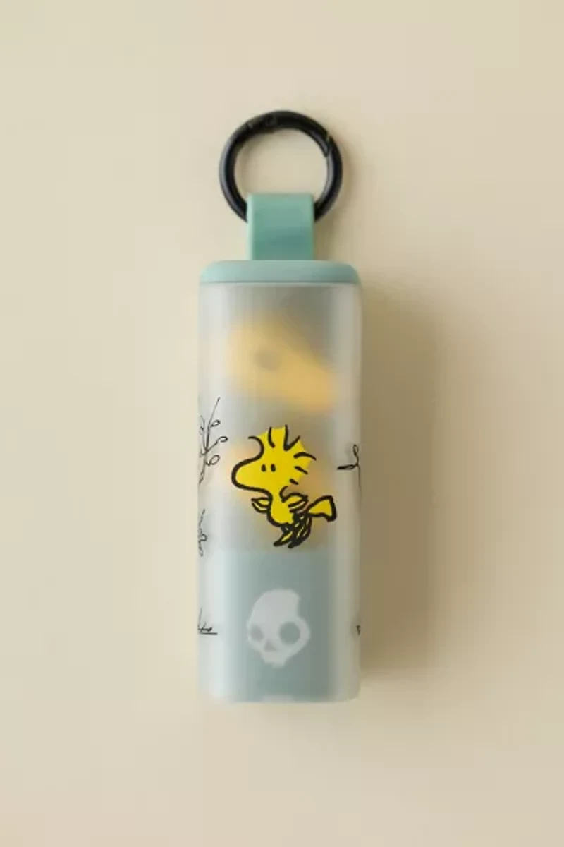 Skullcandy Dime Evo Wireless Earbuds