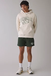 Museum Of Peace & Quiet Dove Graphic Hoodie Sweatshirt