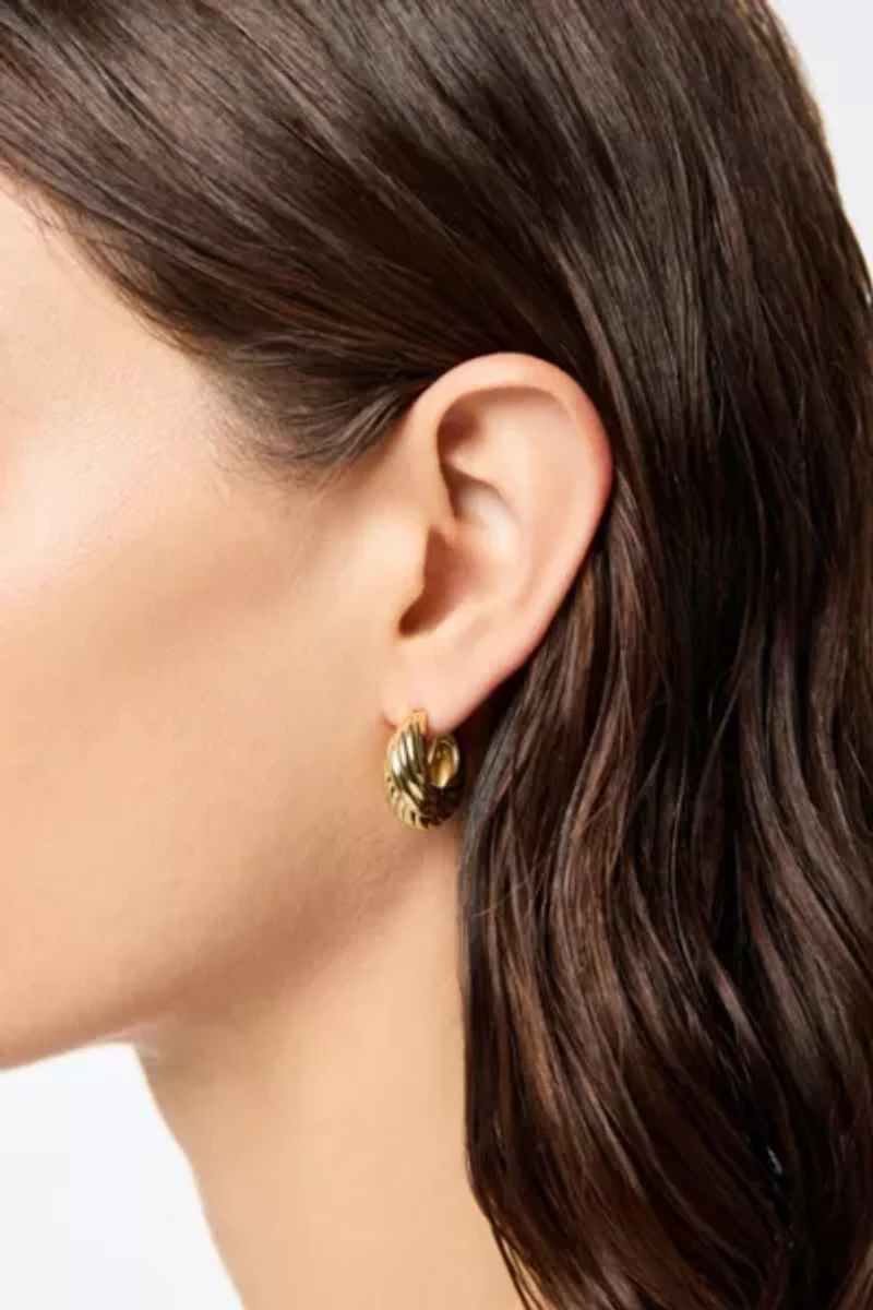 Ana Luisa Tymie Gold Hoop Earrings