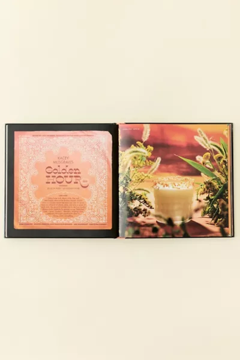 Booze & Vinyl Country: 100+ Spirited Music-And-Drink Pairings By André Darlington