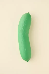 Easy Sqweezy Pickle Squishy