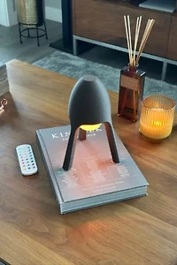 Pure MDRN Soma Cordless Lamp