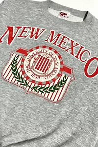 Vintage 1980's New Mexico  Brushed Crewneck Sweatshirt