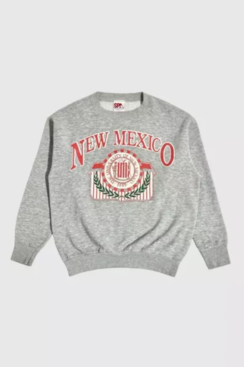 Vintage 1980's New Mexico  Brushed Crewneck Sweatshirt