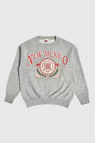 Vintage 1980's New Mexico  Brushed Crewneck Sweatshirt