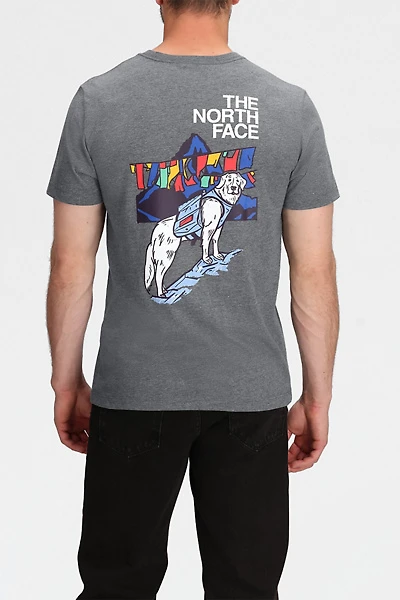 The North Face Sunlit Summit Graphic Tee