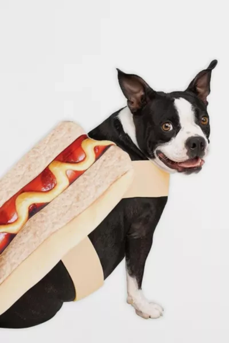 Hot Dawg Pup Dog Pet Costume