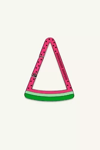 Strawberry Western Watermelon Carabiner