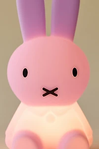 Miffy Bundle Of Light Blind Box Figure Light