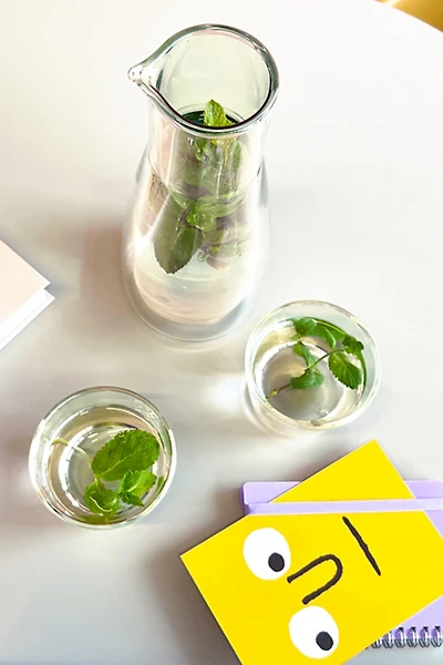 Cloudnola Double-Wall Carafe & Drinking Glass Set
