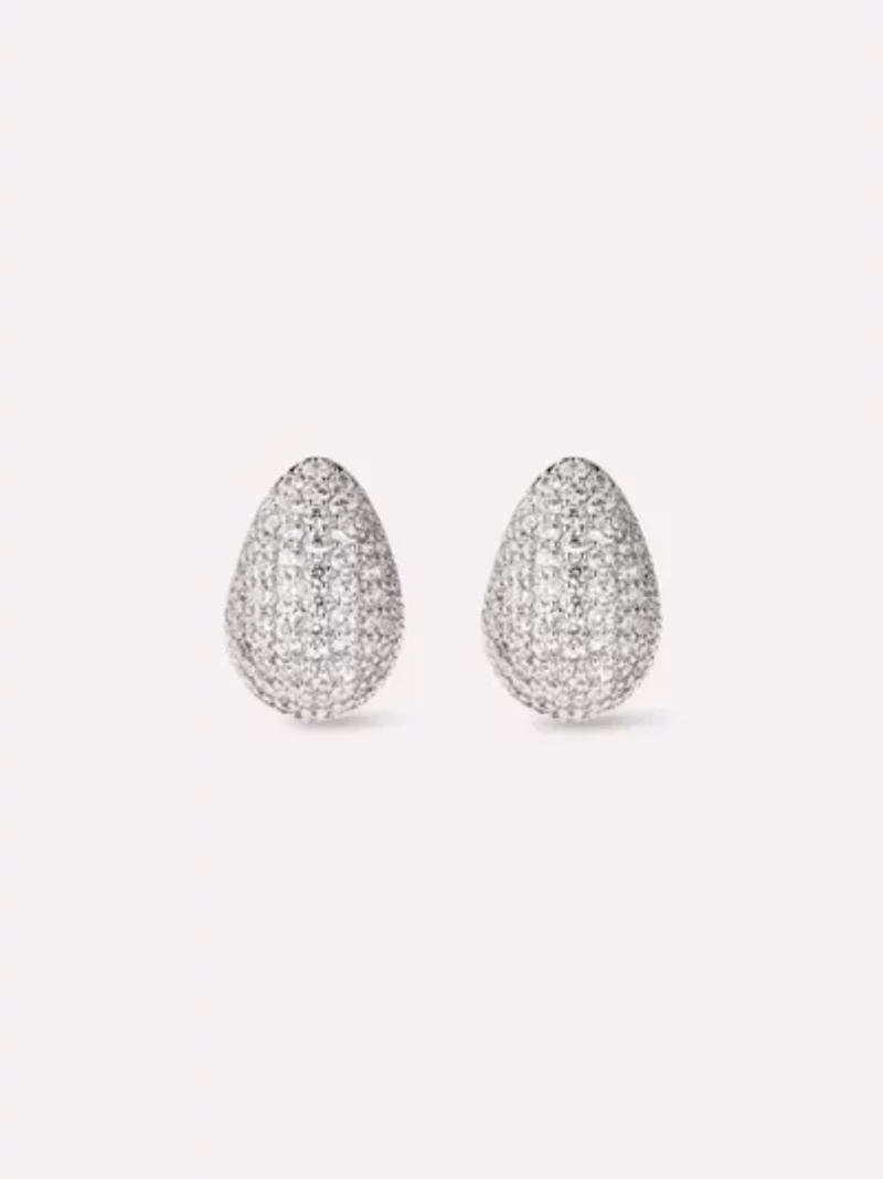 Ana Luisa Adler Silver Earrings