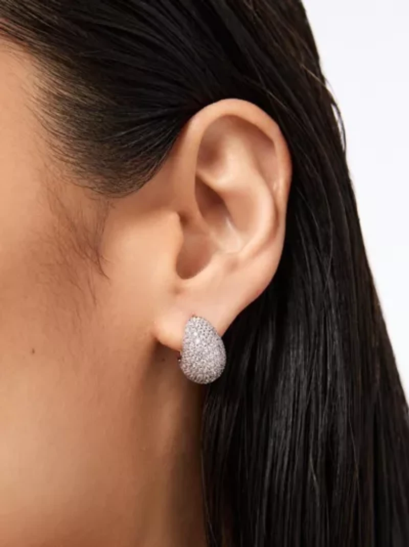 Ana Luisa Adler Silver Earrings