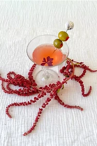 Dupe Shell Cocktail Picks