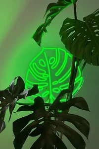 Echo Neon Monstera Leaf Neon Sign