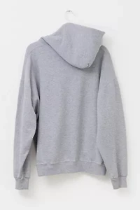 Vintage Y2K Distressed Russell Athletic Illinois Spell Out Pullover Graphic Hoodie Sweatshirt
