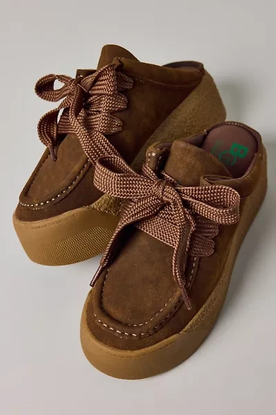 Seychelles Evolution Platform Mule