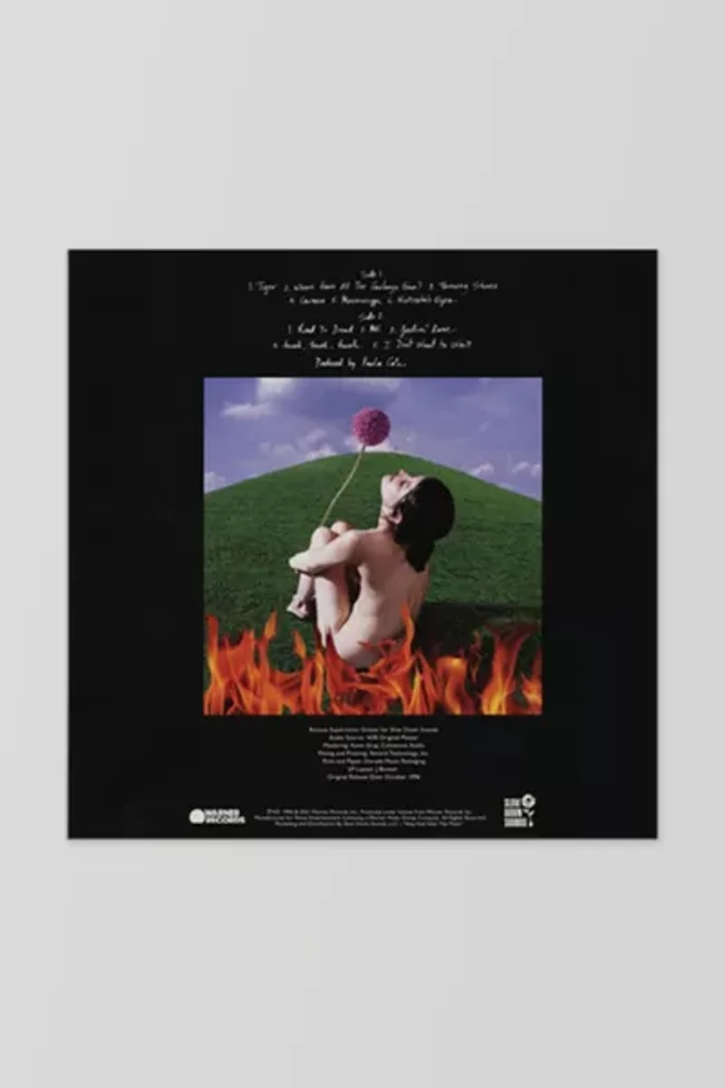 Paula Cole - This Fire  LP