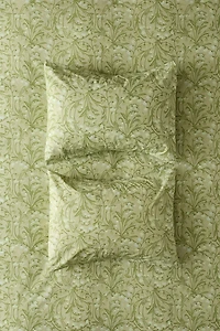 Lily Of The Valley Floral Cotton Percale Sham Set